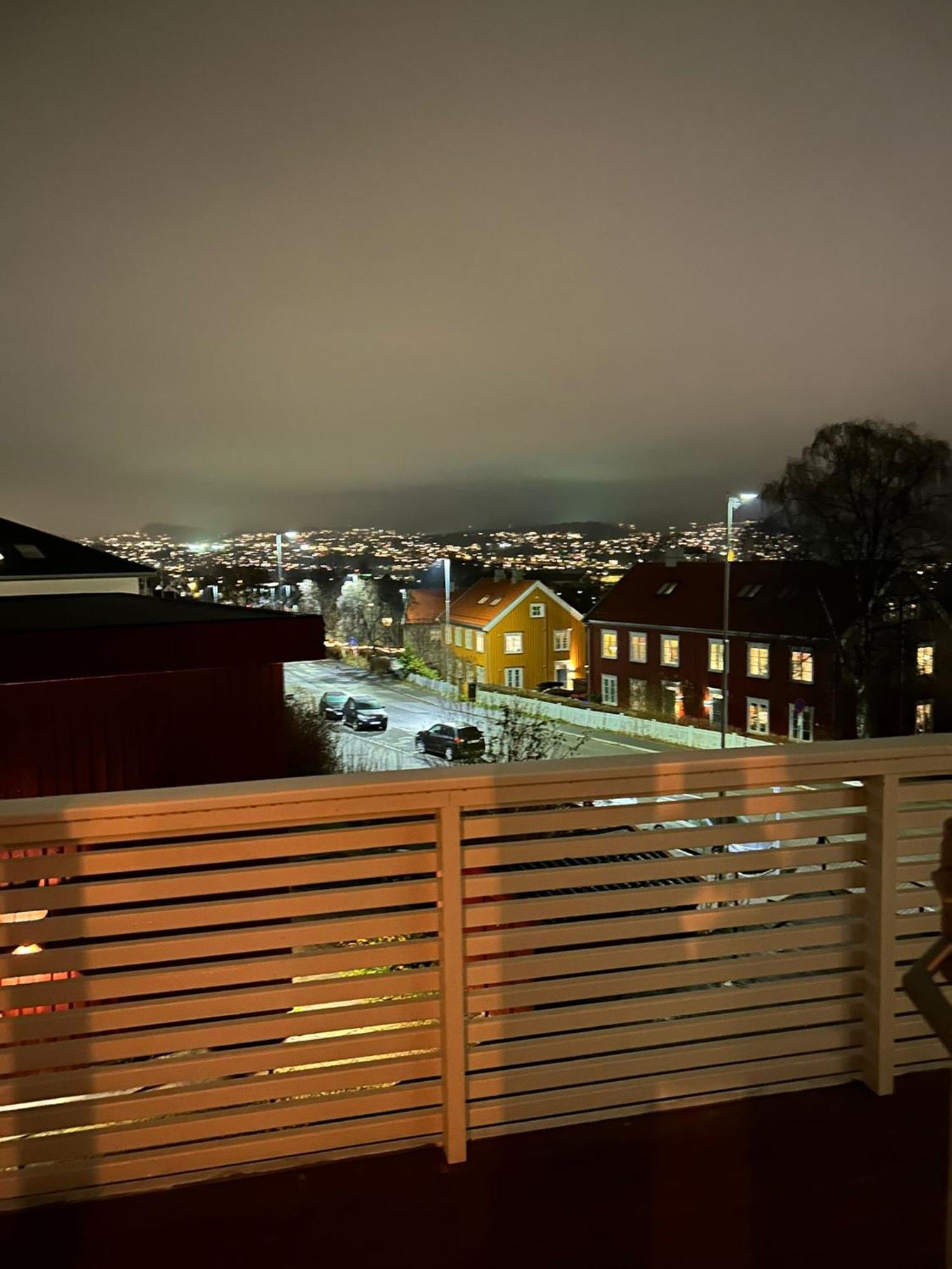 Singsaker Panorama * Trondheim